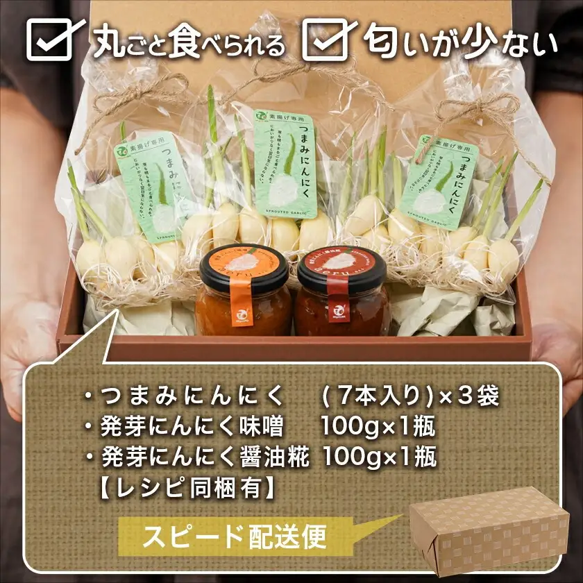 スーパーフード!つまみにんにく&ディップセット ≪みやこんじょ特急便≫〔AA-C902〕_(都城市) 発芽にんにく味噌/発芽にんにく醤油糀 国産にんにく レシピ入り にんにく特有のにおい残りが少ない 冷蔵配送