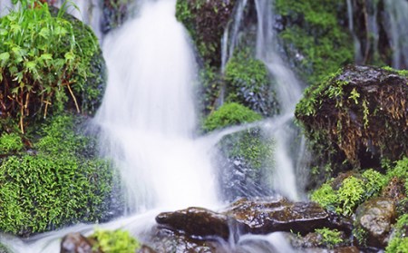 【山形の極み】月光の水 ～月山自然水～ 2L×18本 F2Y-5342