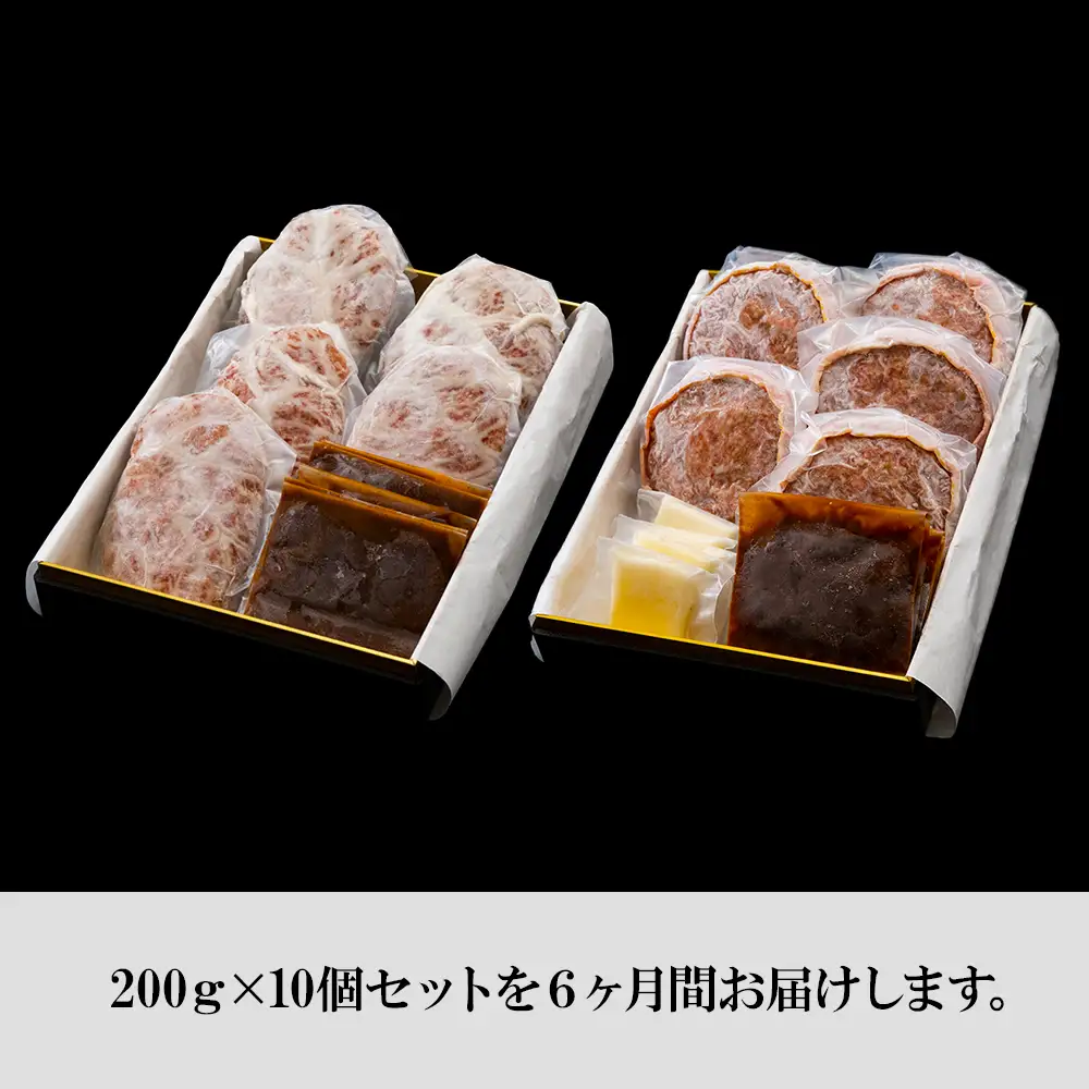 定期便6カ月 お楽しみ 白老牛 2種 食べ比べ ハンバーグ セット 合計10個 BY107