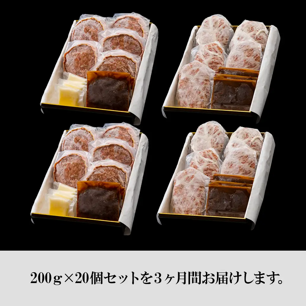 定期便3カ月 お楽しみ 白老牛 2種 食べ比べ ハンバーグ セット 合計20個 BY109