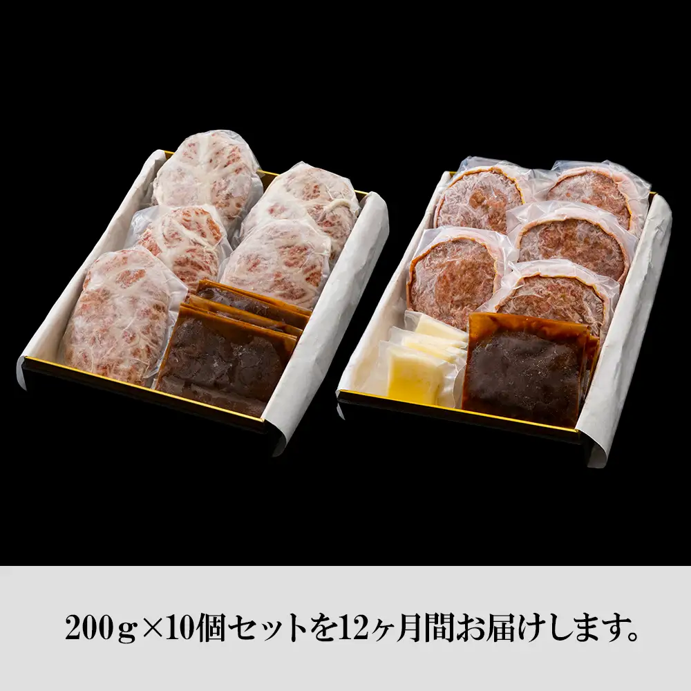 定期便12カ月 お楽しみ 白老牛 2種 食べ比べ ハンバーグ セット 合計10個 BY108