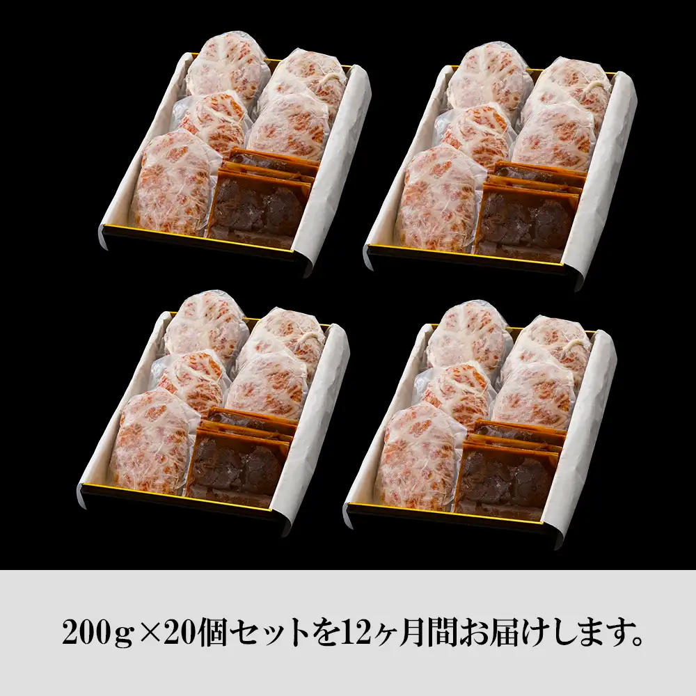定期便12カ月 お楽しみ 白老牛 ジューシー ハンバーグ セット 20個 BY105