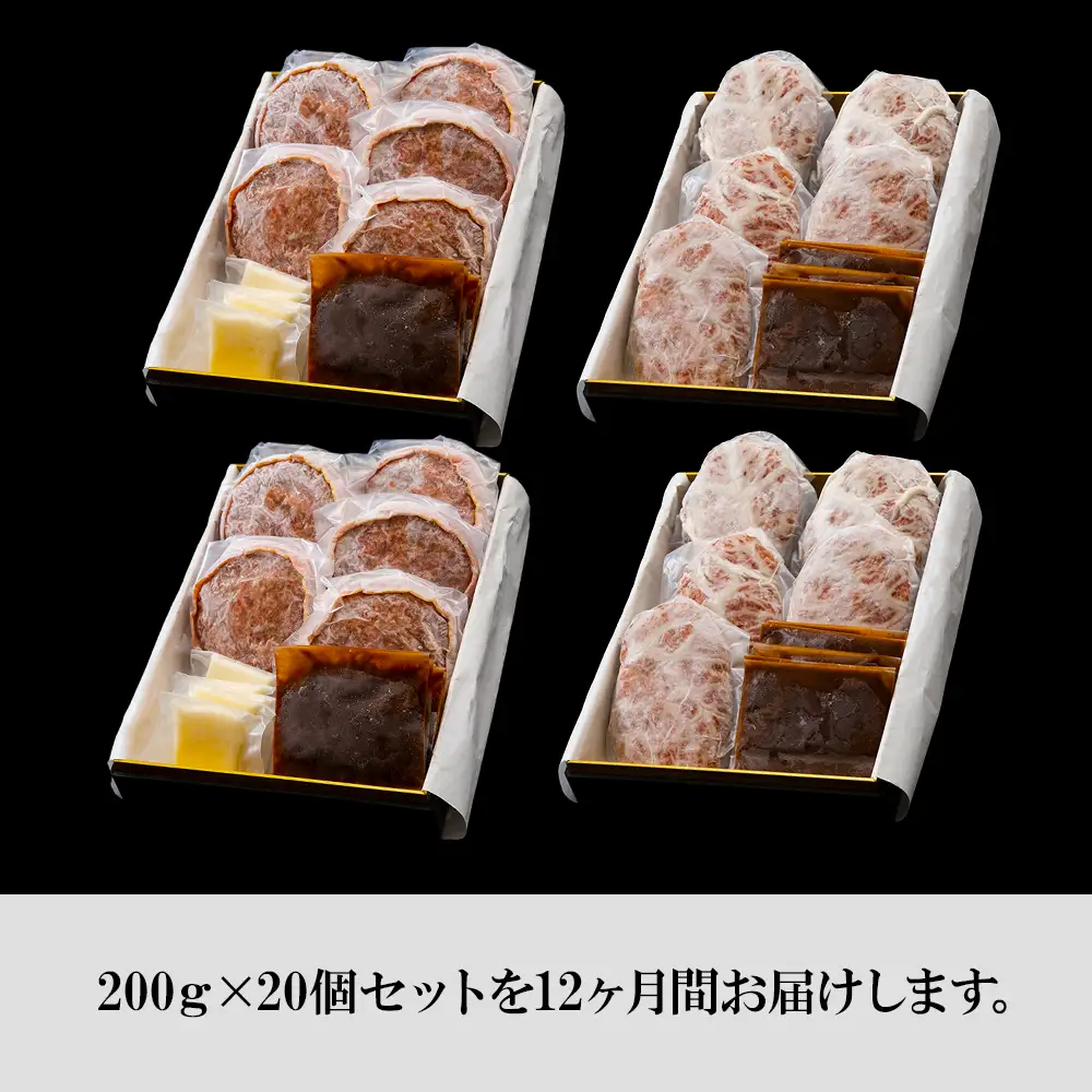 定期便12カ月 お楽しみ 白老牛 2種 食べ比べ ハンバーグ セット 合計20個 BY111