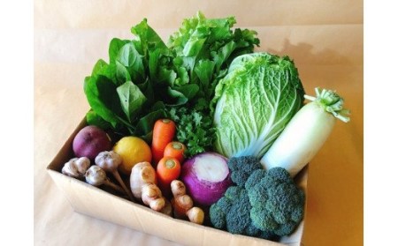 越知産市の季節の野菜セット(年6回発送) 偶数月