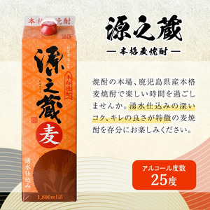 本格 麦 焼酎 飲み比べ 岩川醸造 1800mlパック 6本セット！(源之蔵、鬼嫁：各1800ml×3本)【大隅家】B138-v02