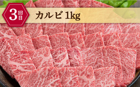 和牛 【全3回定期便】しまね和牛 3種食べ比べ定期便 カルビ モモ 肩ロース 島根県松江市/フジキコーポレーション株式会社 [ALDS011] 和牛 和牛