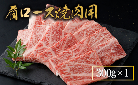 宮崎牛 赤身モモ肉400gと肩ロース300gの焼肉セット(合計700g)_K030-006