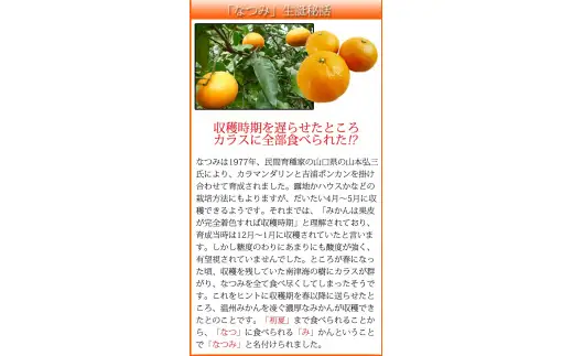 初夏のみかん　なつみ3kg　※2027年4月中旬頃～2027年4月下旬頃に順次発送予定（お届け日指定不可）【uot753A】