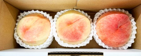 桃 化粧箱入秀品 紀州の桃 3玉※2026年6月下旬頃〜2026年8月上旬頃順次発送（お届け日指定不可）【uot750】