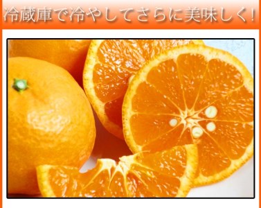 初夏のみかん　なつみ3kg　※2027年4月中旬頃〜2027年4月末頃順次発送（お届け日指定不可） / 果物 くだもの フルーツ 柑橘 オレンジ みかん ミカン 有田みかん 【uot753A】