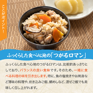 【令和7年産米】 米 つがるロマン 10kg （5kg×2） 特別栽培米 青森県産 【KonRiceFarmの お米 精米 白米 青森 五所川原 】