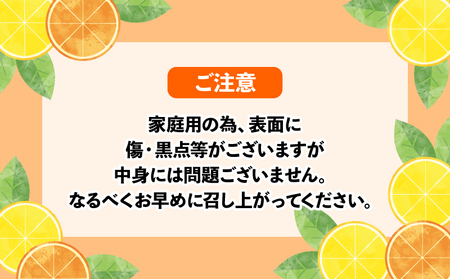 【みかん】早生温州10kgWFみかん B012-024001
