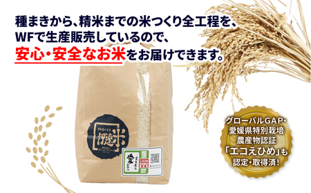 【米】温州みかん小玉約3kg伊達米コシヒカリ3kgWF│B012-024003