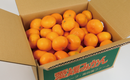 愛媛みかん 早生温州 7kg 家庭用 大小混合 南四国ファーム mikan みかん 不揃い 早生 温州 温州みかん 愛媛ミカン 愛媛蜜柑 果物 くだもの フルーツ 柑橘 蜜柑 産地直送 数量限定 国産 宇和島 B010-035001