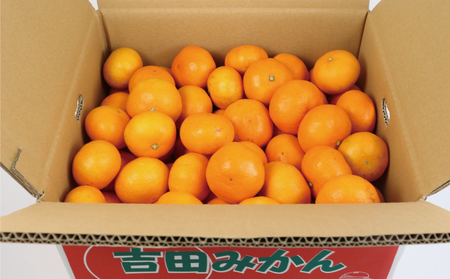 愛媛みかん 9kg 早生温州 家庭用 つばさ農園 温州 B010-048005