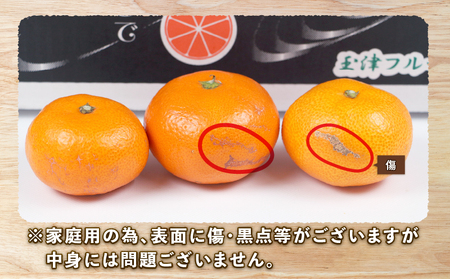  【 みかん 】みかん南柑20号10kg家庭用上杉果樹園|B012-056002