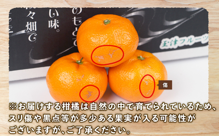 温州みかん 南柑20号 5kg MまたはL サイズ 上杉果樹園 温州みかん B010-056004