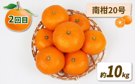 【定期便】みかん定期便柑橘3回NBU |B050-058007 みかん