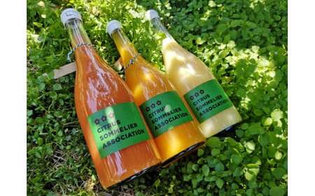 柑橘ｼﾞｭｰｽ720ml×3本おまかせ柑橘ソムリエ柑橘ｼﾞｭｰｽ柑橘ｼﾞｭｰｽ柑橘ｼﾞｭｰｽH015-064001