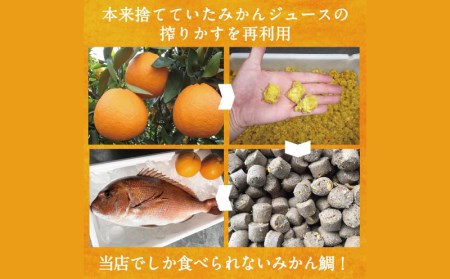 みかん 真鯛 刺し身 1尾 4節 宇和島プロジェクト 刺し身 D022-071004