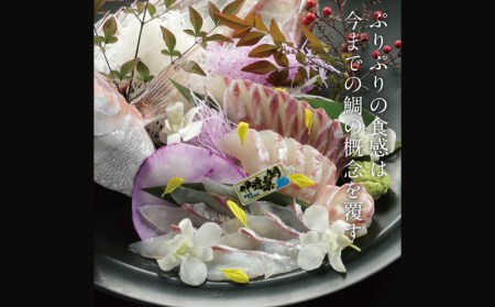 伊達真鯛 刺身 柵 宇和島プロジェクト真鯛 D022-071005