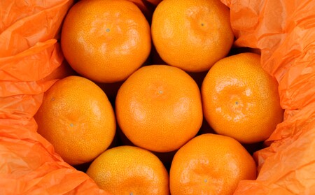 ハウスみかん 贈答用 2kg ハマみかん 先行予約 ハウス B024-075008