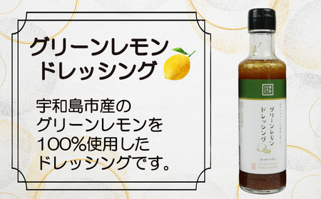 ドレッシング セット 4種 190ml × 4本 うわじま産業振興公社 ドレッシング J010-100001
