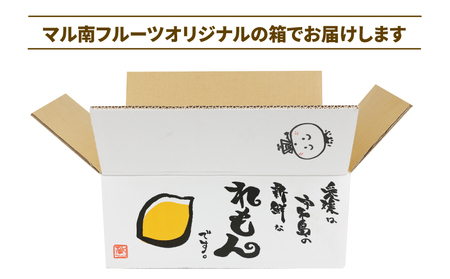 国産レモン 檸檬 レモン 訳あり グリーンレモン 5kg マル南フルーツ 先行予約 remon 愛媛県産レモン わけあり れもん 檸檬 レモン果汁 酸味 高級 希少 安心 果物 くだもの ビタミン 健康 フルーツ 訳アリ 訳あり品 柑橘 産地直送 数量限定 国産 愛媛 宇和島 B010-106016