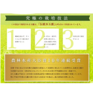 [八女茶]八女星野産　玉露ティーバッグ　50パック【015-0005】