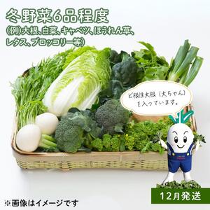 「ベジーズ館」の夏・冬野菜　年２回コース （7月と12月発送）｜【野菜定期便・野菜・定期便・冬野菜・夏野菜・野菜セット・旬の野菜・兵庫野菜・相生野菜・国産野菜・野菜詰め合わせ・冬野菜詰め合わせ・夏野菜詰め合わせ】