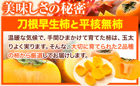 柿 たねなし柿 約7.5kg