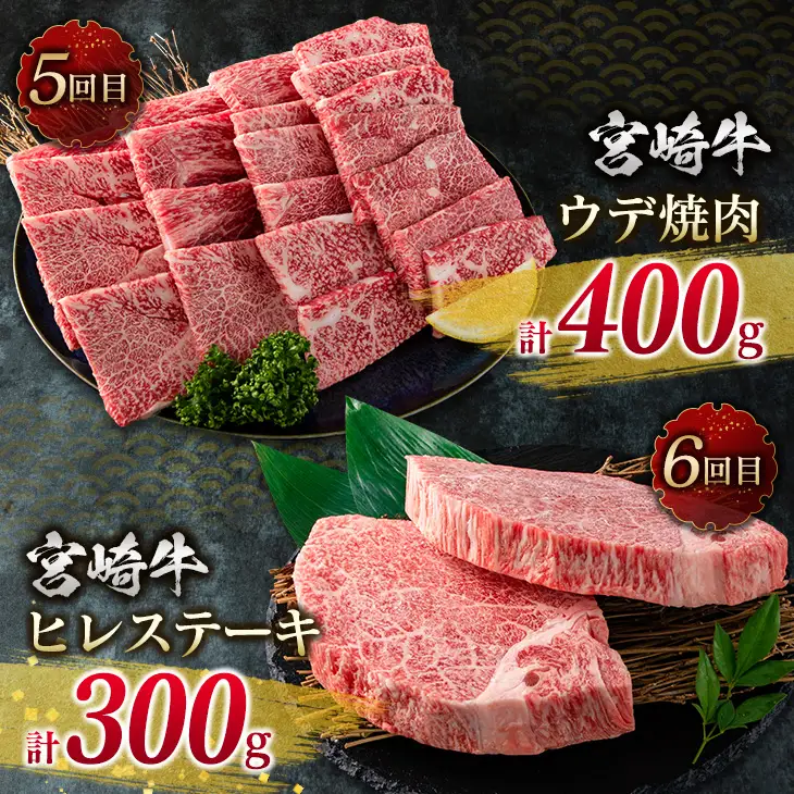数量限定 6か月 お楽しみ 定期便 宮崎牛 贅沢 満喫 セット 総重量2.5kg_NA1-25