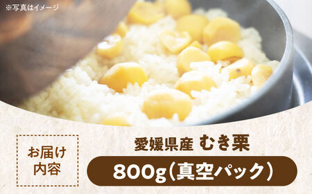 ムキ栗 800g 栗【10月上旬から順次発送】 [AGBN032]