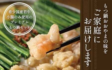 福岡 もつ 専門店 売上高 1位 【 3ヶ月 定期便 】 博多もつ鍋 おおやま もつ鍋 みそ味 3人前 国産 冷凍 モツ