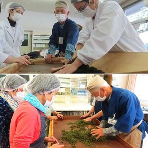 黒谷茶るま赤（鷹の爪25g1袋付き） だるま お茶 茶葉 057002