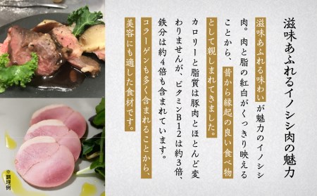 仔イノシシ ウデ肉 ブロック(ヒレ肉付き）800g ジビエ 猪国