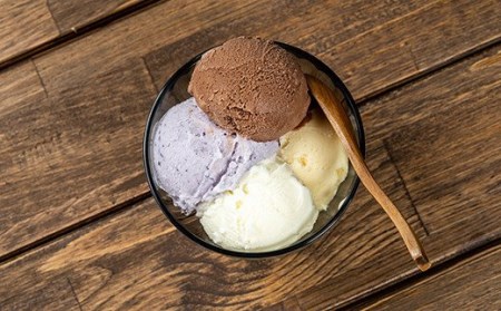 搾りたて生乳 仕込みの濃厚 ミルクアイス 定番フレーバー（8個セット） Qak-A33 アイスクリーム アイス アイスセット バニラアイス ブルーベリーアイス いちごアイス イチゴアイス チョコ チョコアイス アイス大容量 詰め合わせ 冷凍