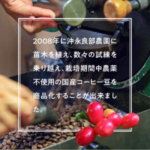 沖永良部島珈琲100％木樽入り W044-001u コーヒー 飲料