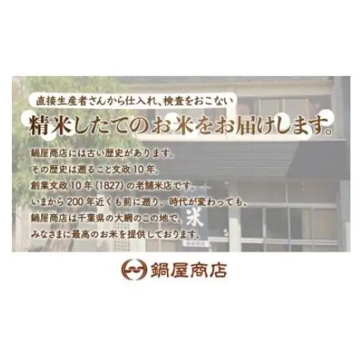 【最短2～7営業日出荷】令和7年産 2年連続特A評価!千葉県産コシヒカリ10kg（5kg×2袋） E001