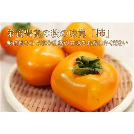 【R8年10月以降発送】刀根早生柿発祥の地より「たねなし柿」L～2L(32～36玉)【秀品】_果物・フルーツ 柿（カキ）  かき_【配送不可地域：離島】【1138161】