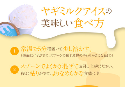 ヤギミルクアイス 6個セット A006-012 奄美大島 着色料不使用 香料不使用 搾りたて デザート スイーツ アイスクリーム 香料 / 着色料不使用 保冷箱入り ギフト 贈答用