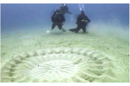 奄美島 体験ダイビング（1名様） A108-003