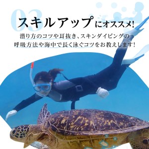 スキンダイビング（ 2名様 ） A051-002 アクティビティ 体験型 体験チケット 2名分 ガイド付 完全貸切 OCEANZ-オーシャンズ ふるさと納税 鹿児島県 奄美市 おすすめ ランキング プレゼント ギフト