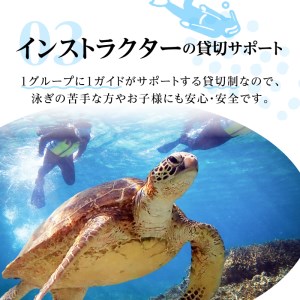 ウミガメ シュノーケリング（ 2名様 ） A051-001 アクティビティ 体験型 ウミガメシュノーケリング 2名分 水中写真 ガイド付 完全貸切 OCEANZ-オーシャンズ ふるさと納税 鹿児島県 奄美市 おすすめ ランキング プレゼント ギフト
