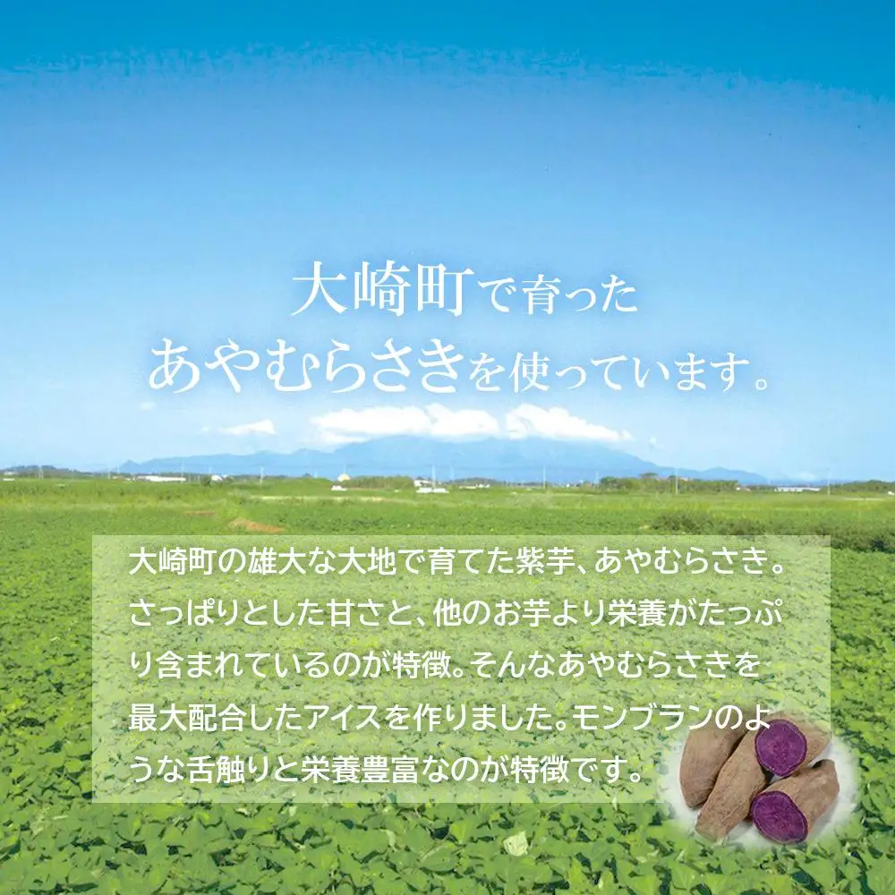紫芋アイス　６個入り