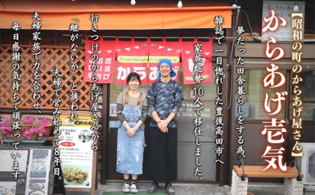 【からあげ壱気】大分 からあげ 600g(モモ、とりトロ、ムネ、ずり、手羽先) | 豊後高田市