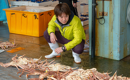 期間限定 茹で 越前ガニ 約1.2kg 2杯 食通もうなる本場の味をぜひ、ご堪能ください 越前かに 蟹 カニ かに ボイルカニ ポーション ズワイガニ 海鮮 限定 福井 福井県 若狭町