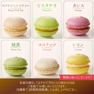 種類はおまかせ！ふるさと納税限定マカロン(12個入)　お菓子 マカロン アソート 冷凍 手作り バニラ チョコレート 木苺 カシス ヘーゼルナッツ ココナッツチョコレート 抹茶 ピスタチオ パッションショコラ バジル オレンジ ロイヤルミルクティー エスプレッソ [h194]