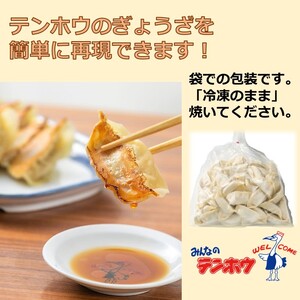 ぎょうざ 2袋[56粒×2袋] / テンホウ 冷凍 餃子 大容量 信州 長野県 諏訪市 諏訪 [21-01]