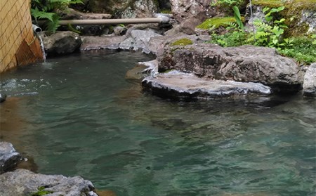 二岐温泉旅館ふじや 温泉を楽しむ『地元の食材』といわなの骨酒プラン ペアチケット F21T-182